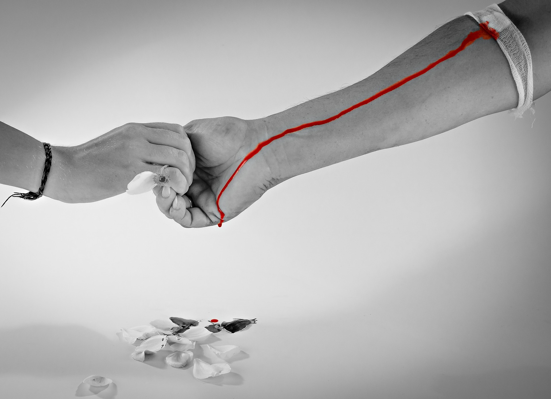 Doacao_sangue_David_Schwarzenberg_grande