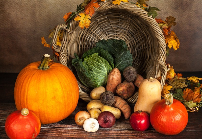 pexels-pixabay-219794-800×550