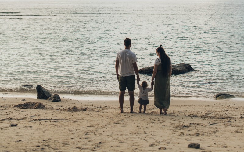 pexels-elina-sazonova-1914984-800×500