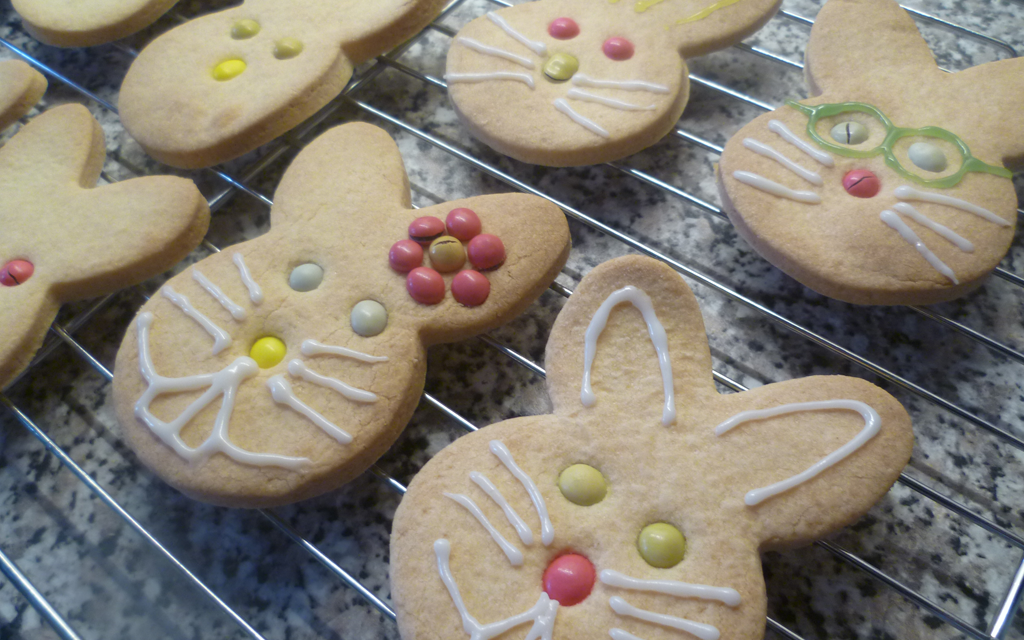 0707e61f4456d69d92933c0e7b7509a1