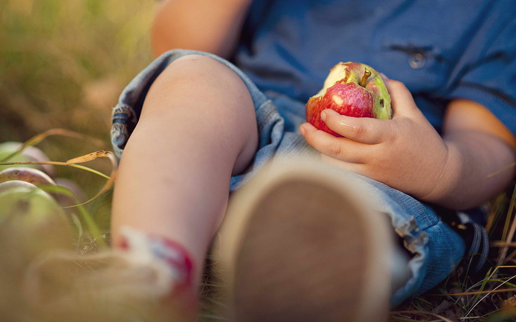 0dfada7788a28755018838a725acdc41