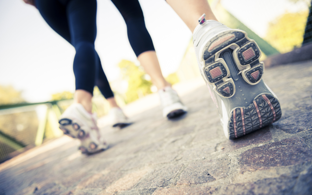 172d59e04ae955ab6a802c1587dd4658