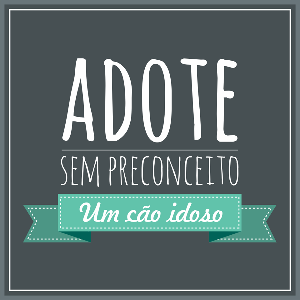 Adote sem preconceito Blog Unimed VTRP 1