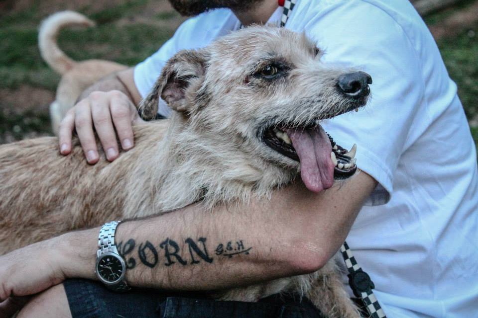 Adote sem preconceito Blog Unimed VTRP 6