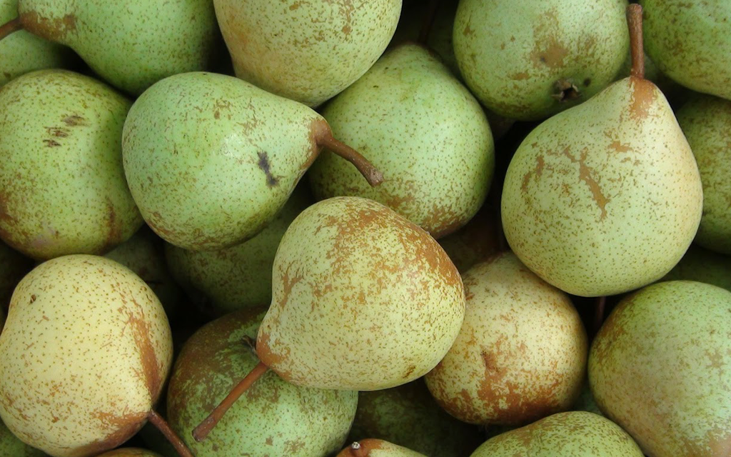 pera fruta inverno blog unimed vtrp