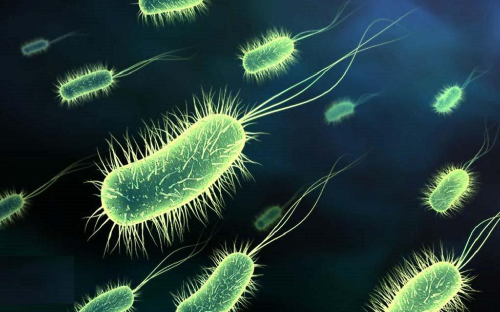 54bd5e2f1e2c82cabd84672df899d4c5