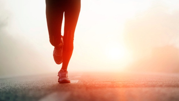 56ea82673a77ad484a5640d503f878e9