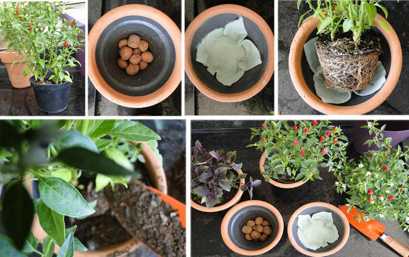 5fb2d798b238baefd5816f6270943951