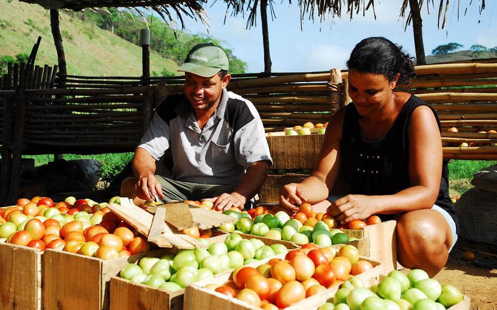 Blog Unimed VTRP Agricultura Familiar 2