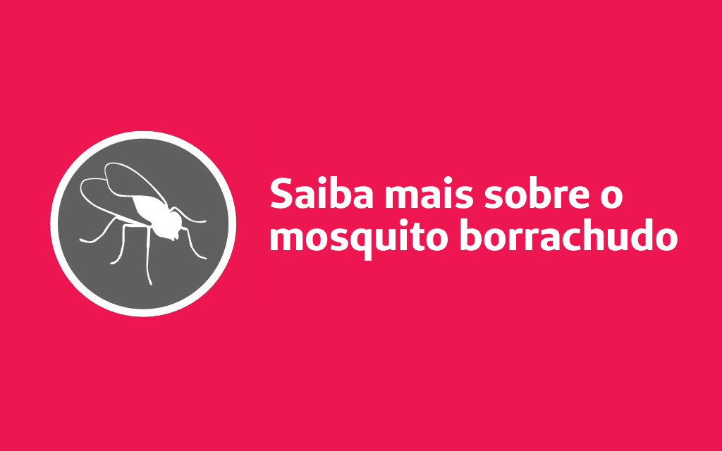 64ecbdd0f27d08abdebeb43658a8f567