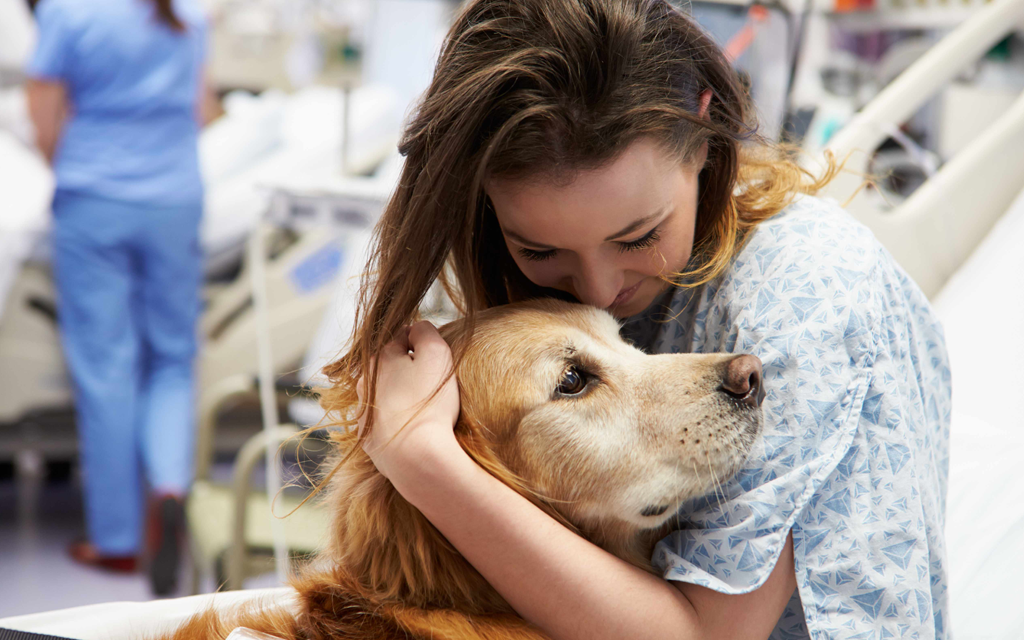 Blog Unimed VTRP Cachorros auxiliam pacientes