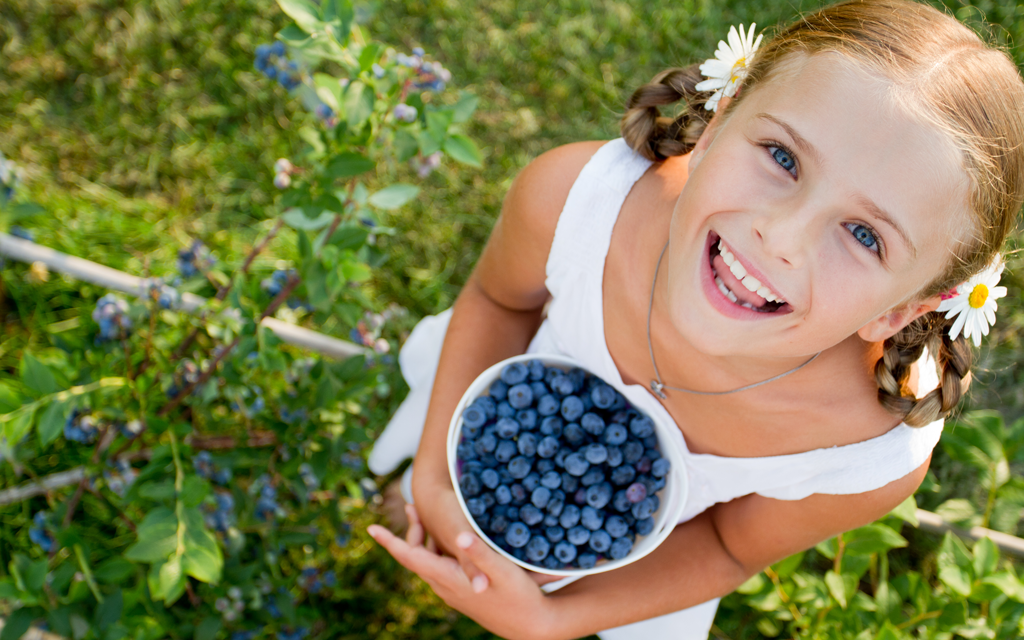 78b986c69ba8e4411a1adce63f1bce09