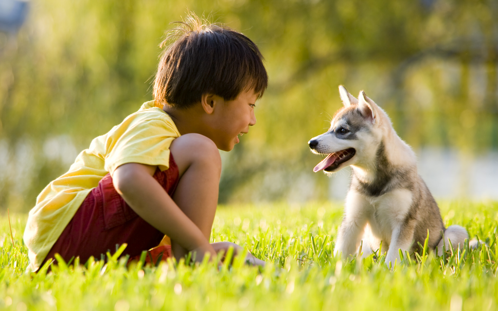 79564546d260fbdf742cafacab72d910