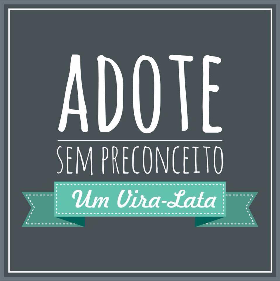Adote sem preconceito Blog Unimed VTRP 2