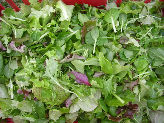 8be53b6d7a8e9c1a9739678d1186a16a