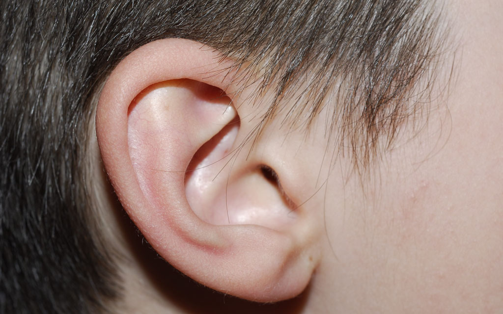 980084470cdfb867b46c41d3e2e022b8