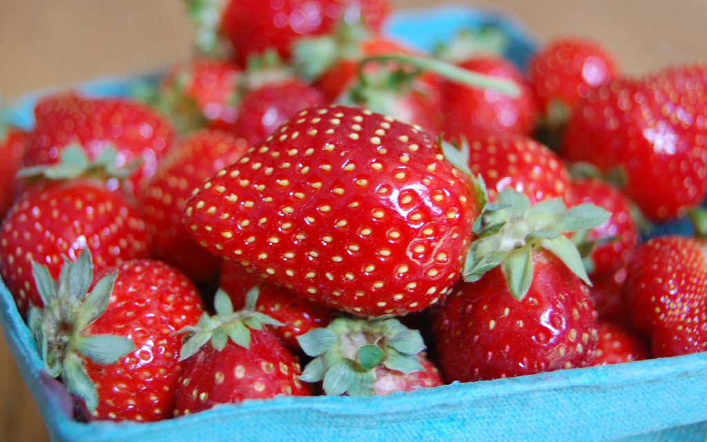 Morango fruta inverno blog unimed vtrp