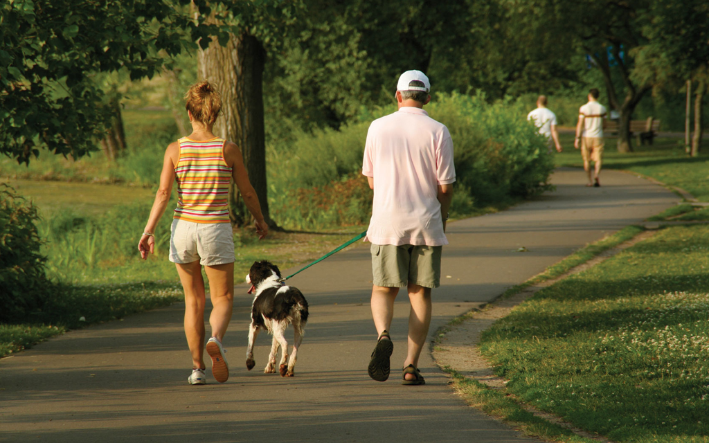 b8acab4c623f6168521f5178895aab55