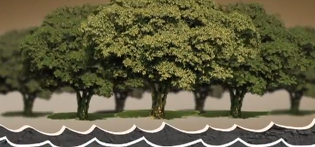 d7d8ee28ffed1defb975dee0152e362b