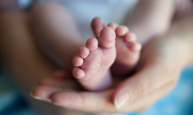 e202cfe59690da90ebb5acbb63acfe49