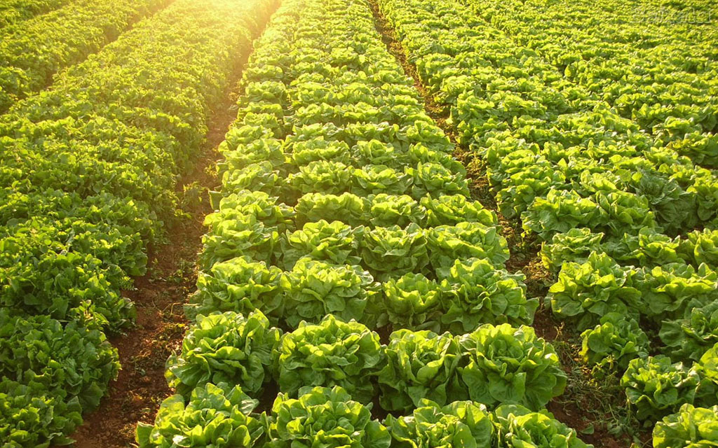 e28ef0ca8450c339312372939e1e9f47