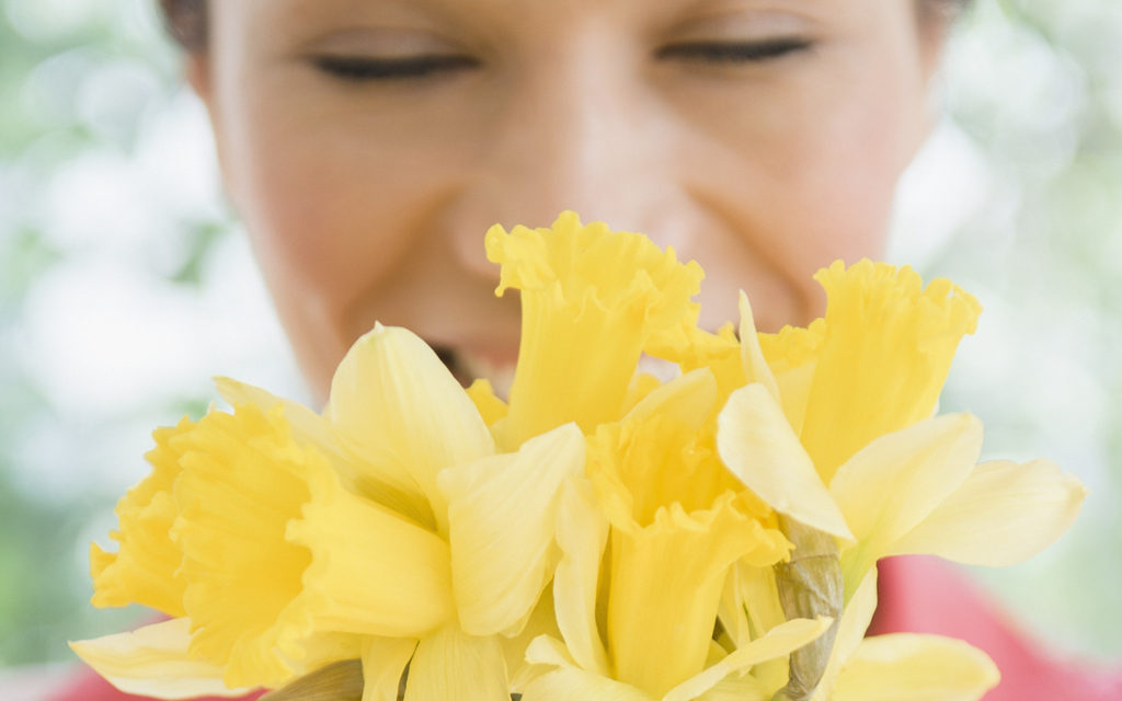 eb6ea12bb801aa5f913ac8acd222e167