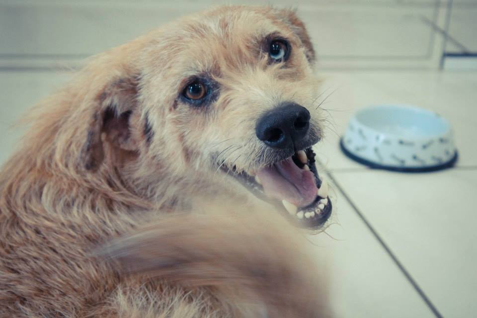 fe9eaf42df861153eeaa01003fe348c6